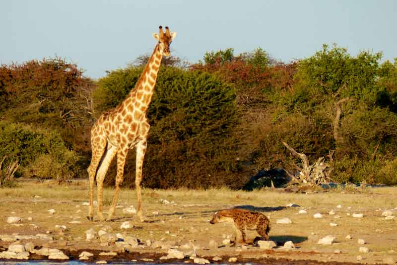 Namibia
